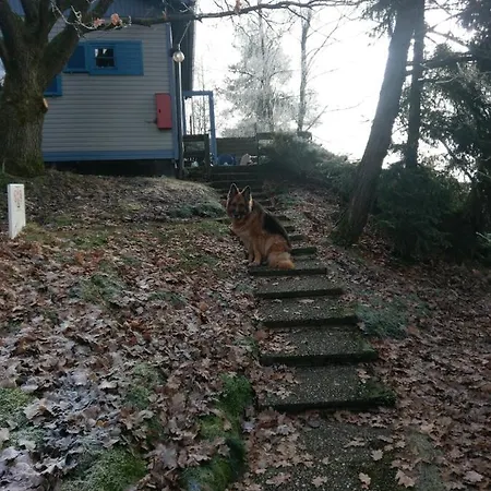 Ferienhaus Dornhecke *